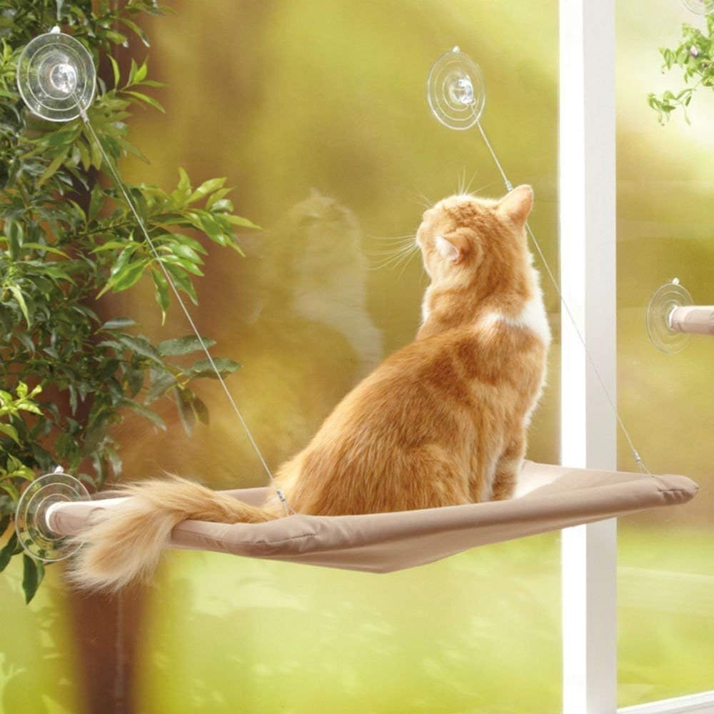 Hamac de Chat monté sur la fenêtre pour la Perche du Chat, lit Suspendu pour Animal de Compagnie à Ventouse Confortable, Durable, Solide, Espace de Rangement, félin , minou , matou