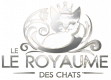 logo-chat, chaton félin