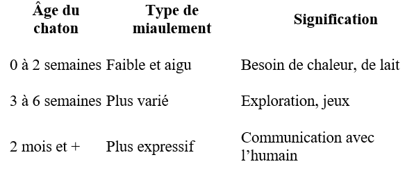 miaulement (chaton, minet, minou, chat ,félin)