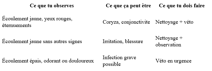 écoulement du (chaton, minou, chat ,minet, jeune chat, petit chat)