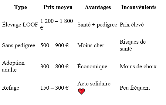 Prix Maine Coon